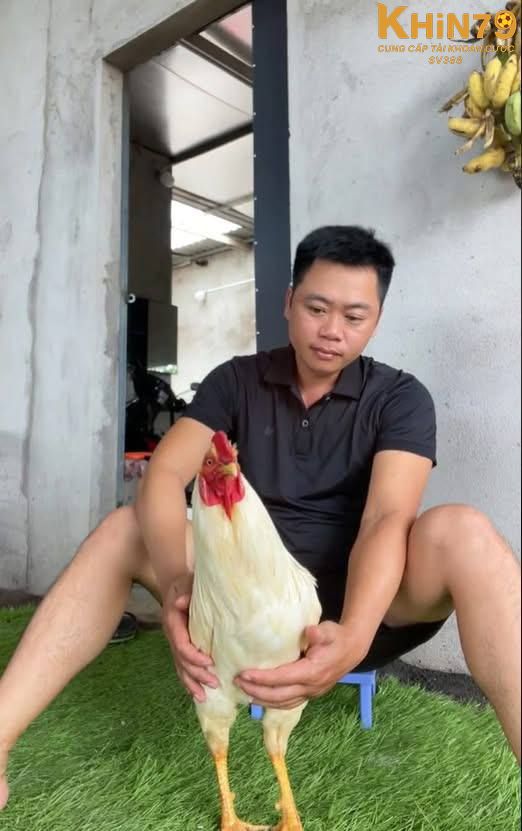 Tìm hiểu thông tin về Long Thomo