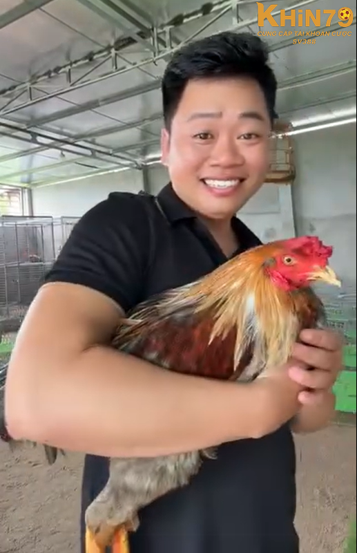 Long Thomo là idol trong cộng đồng đá gà