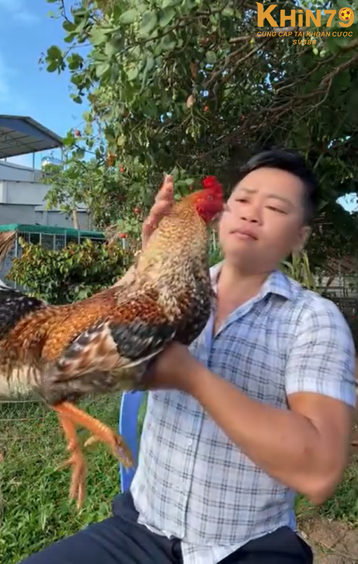 Long Thomo gặt hái nhiều thành tựu